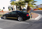 2010 Shelby Bash Car Show